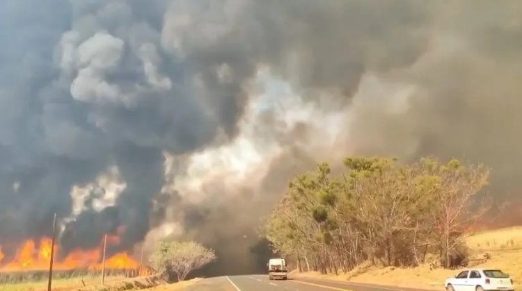 SP tem 13 focos de incêndio nesta terça e não há previsão de chuva na semana